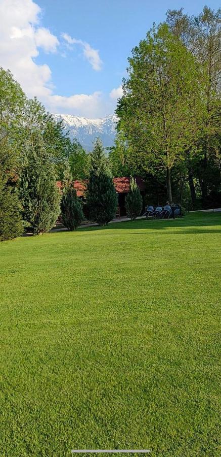 Garden Retreat (Adults Only) Ξενοδοχείο Μπραν Εξωτερικό φωτογραφία